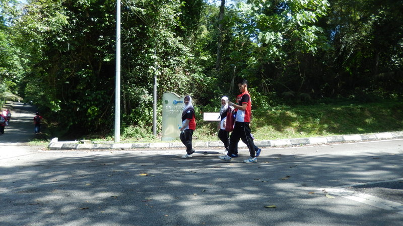 0781 DSCN0709